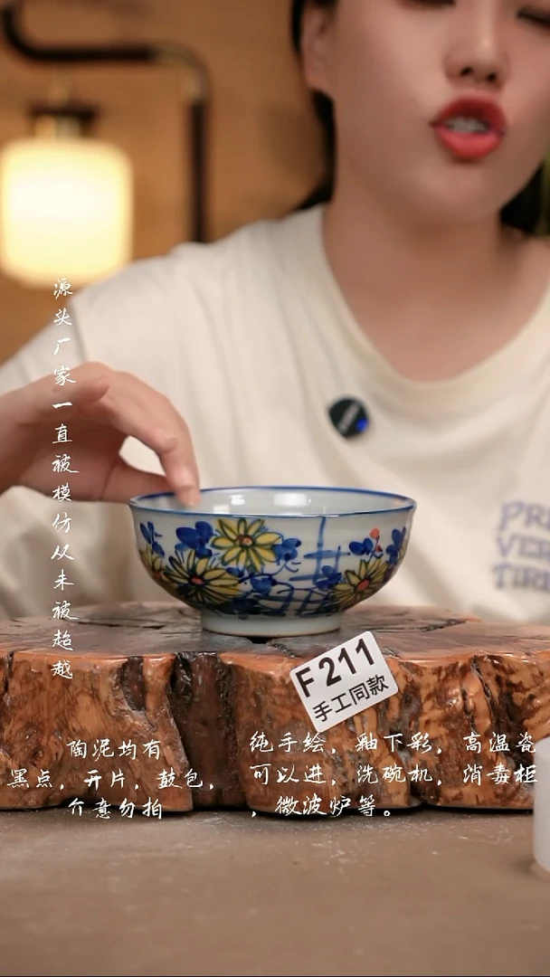 其他F211 新十二器