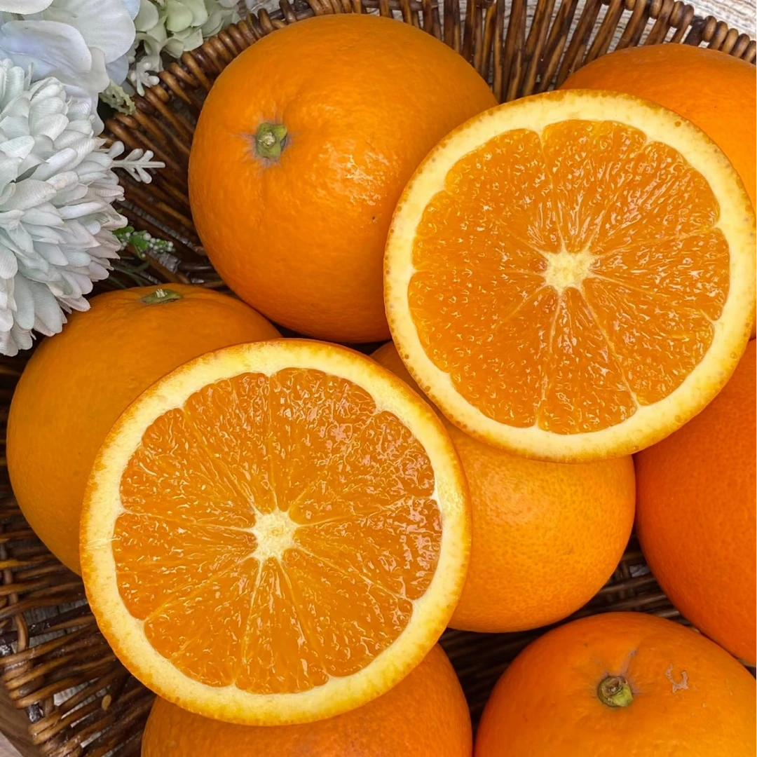 【拉萨小时达】橙子 鲜嫩多汁 酸甜可口  2斤~10斤