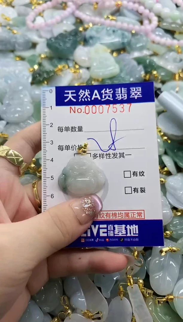 颈饰未镶嵌翡翠天然A货翡翠