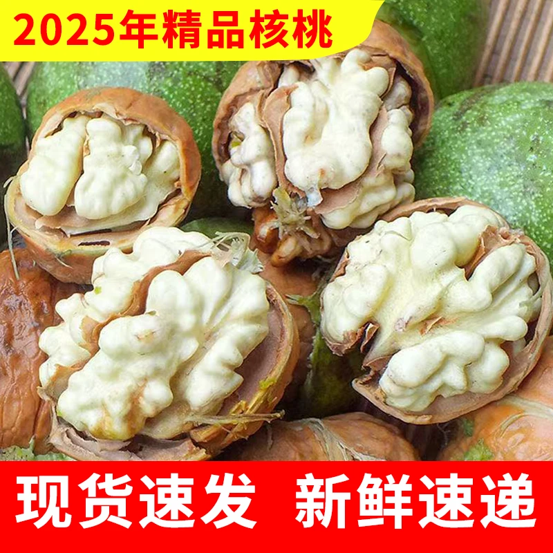 【带皮】2025青皮核桃老树新鲜湿核桃现摘现发