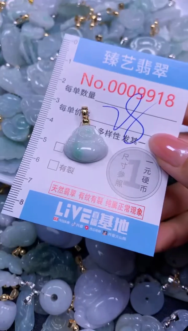 颈饰未镶嵌翡翠9918