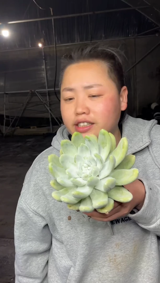 【闪购商品】59-拇指8