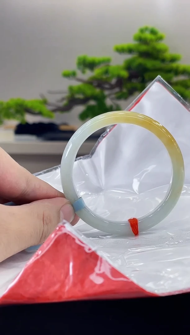 未镶嵌手镯翡翠2