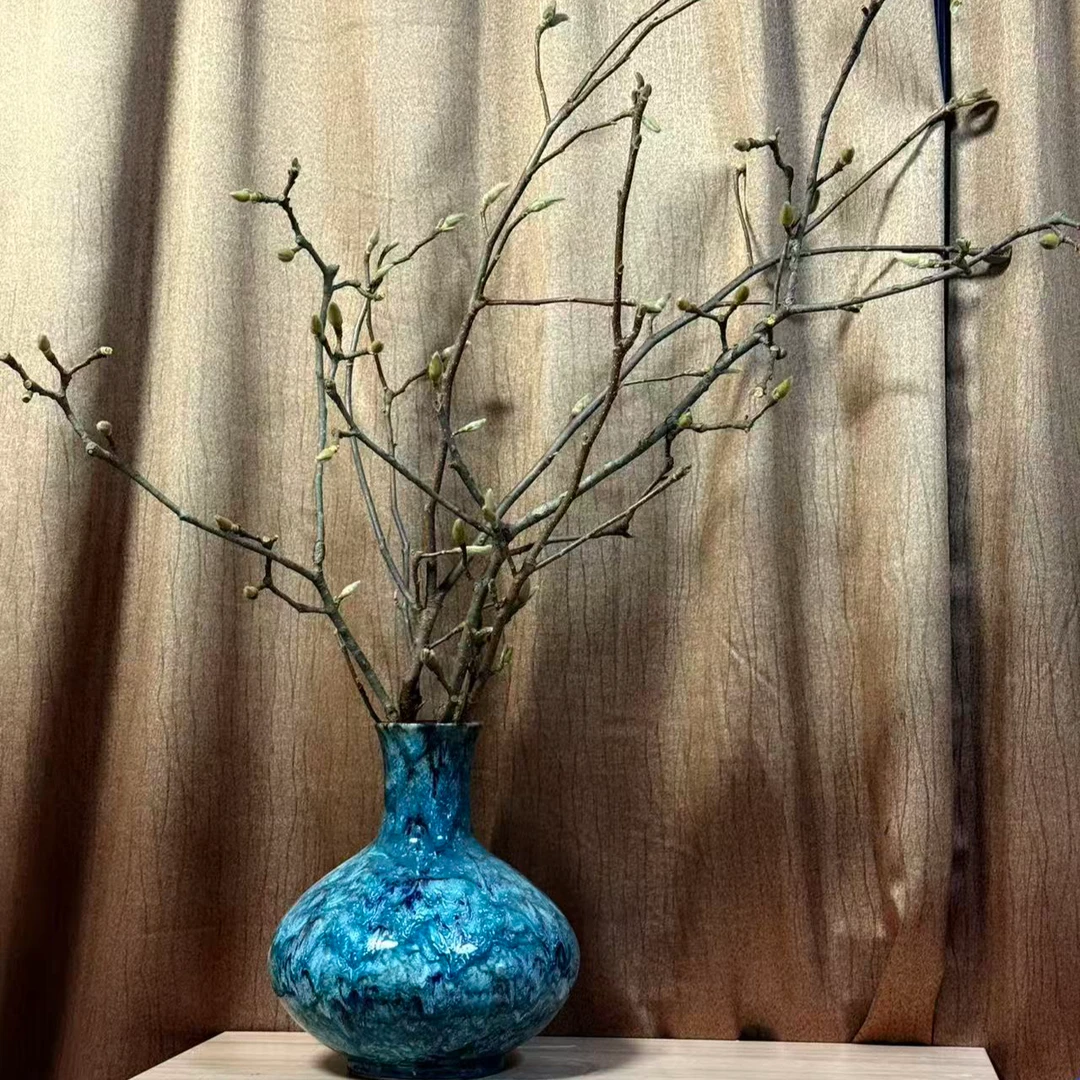 白玉兰·紫玉兰花苞鲜切枝条水养鲜花可以做干花姹寂造景花瓶插花