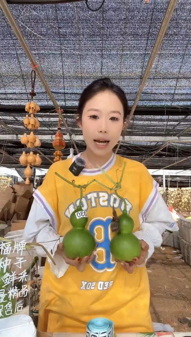 030天然葫芦摆件 一物一拍龙头不保售后