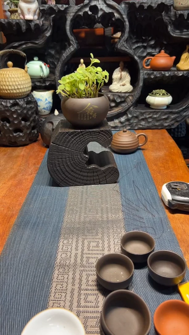 香樟木香樟木一物一拍