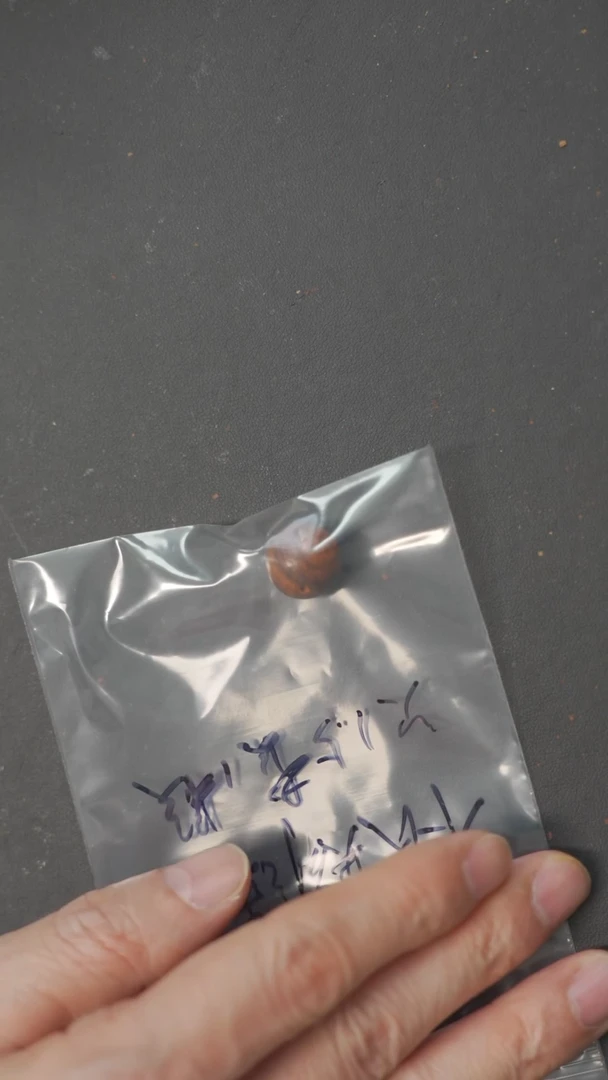 【闪购商品】黄花梨/降香黄檀手串/手链海南黄花梨珠子12