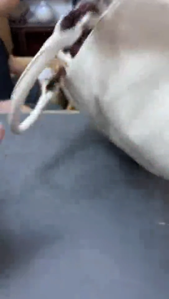 瓷片2233聚宝缘精品优选