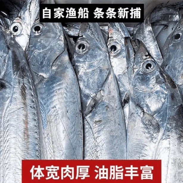 【5斤7条】新鲜海捕7两左右一条  5斤
