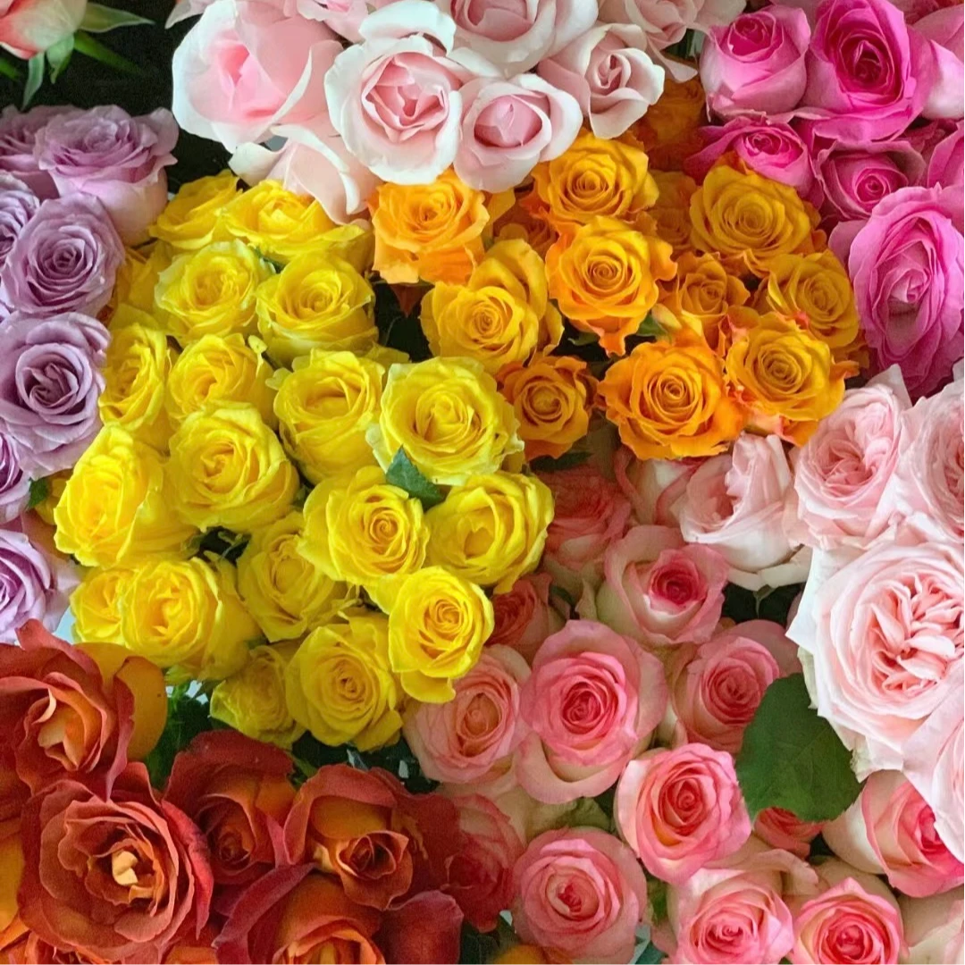 【玫瑰组合】基地直发 送人送礼 鲜花