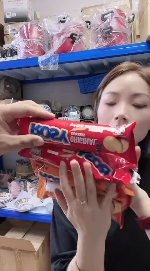 瓷片进口家用百货饼干四包 C006（两款各两包）