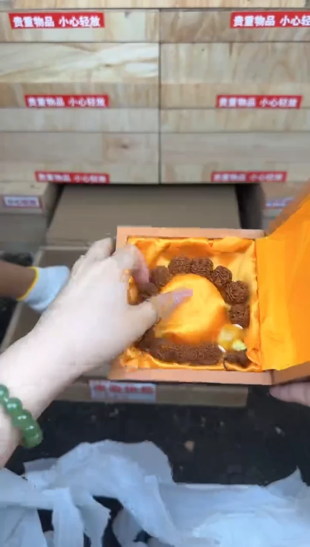 金刚菩提单圈@@SP010