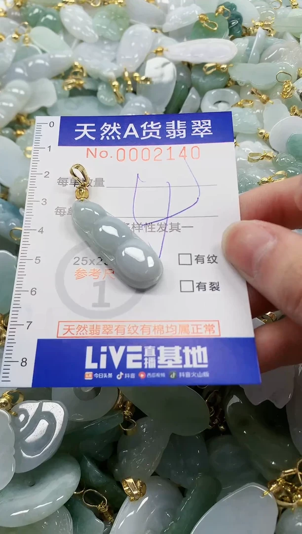 颈饰未镶嵌翡翠纯天然a货翡翠