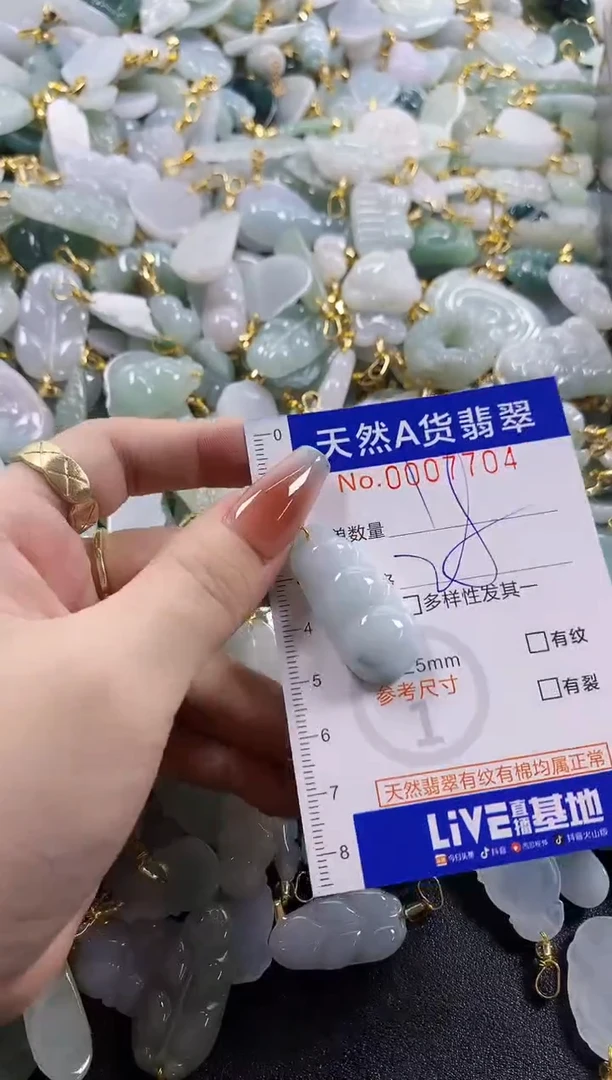 颈饰未镶嵌翡翠天然A货翡翠