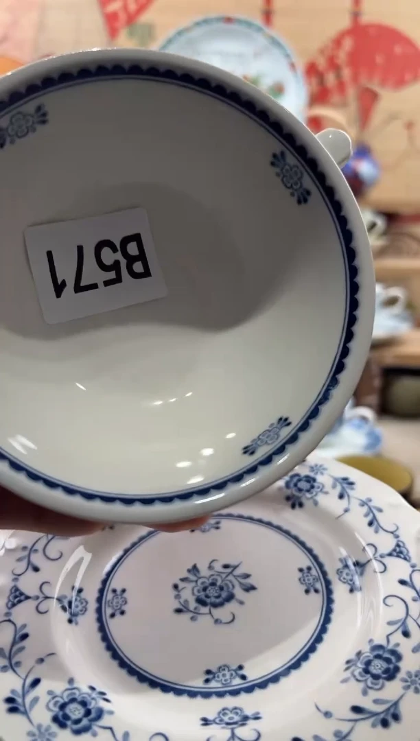 瓷片池*瓷片------B571