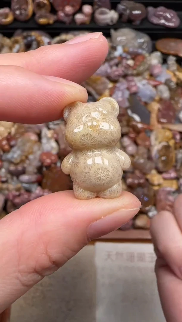颈饰未镶嵌硅化珊瑚（珊瑚玉）523