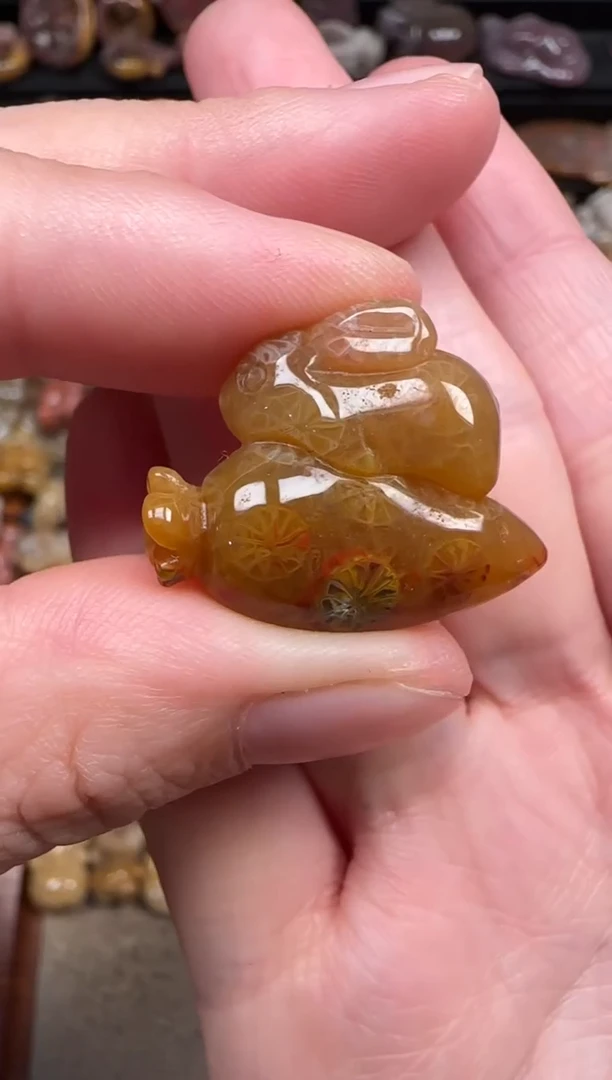 颈饰未镶嵌硅化珊瑚（珊瑚玉）839