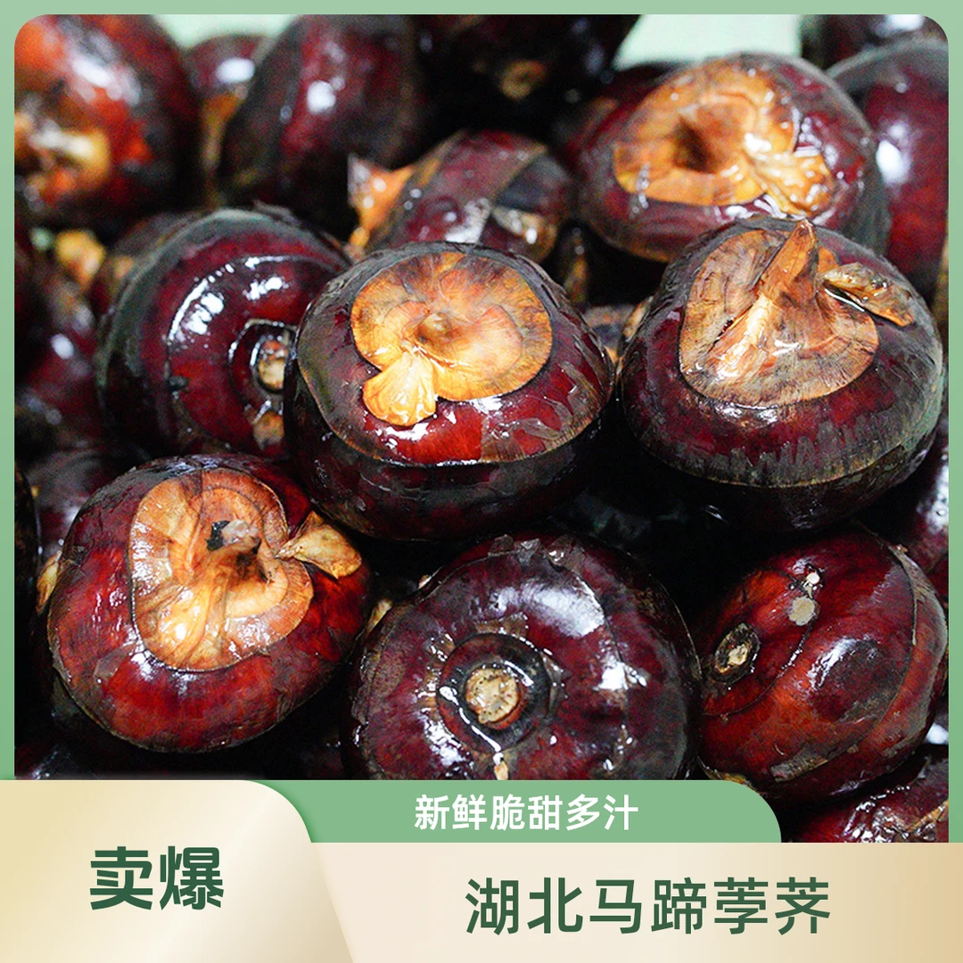湖北新鲜带泥马蹄荸荠新鲜果蔬水果产地直发现挖地梨地栗脆甜多汁