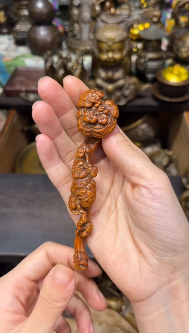 黄杨木f瑞瑞专属精选链接