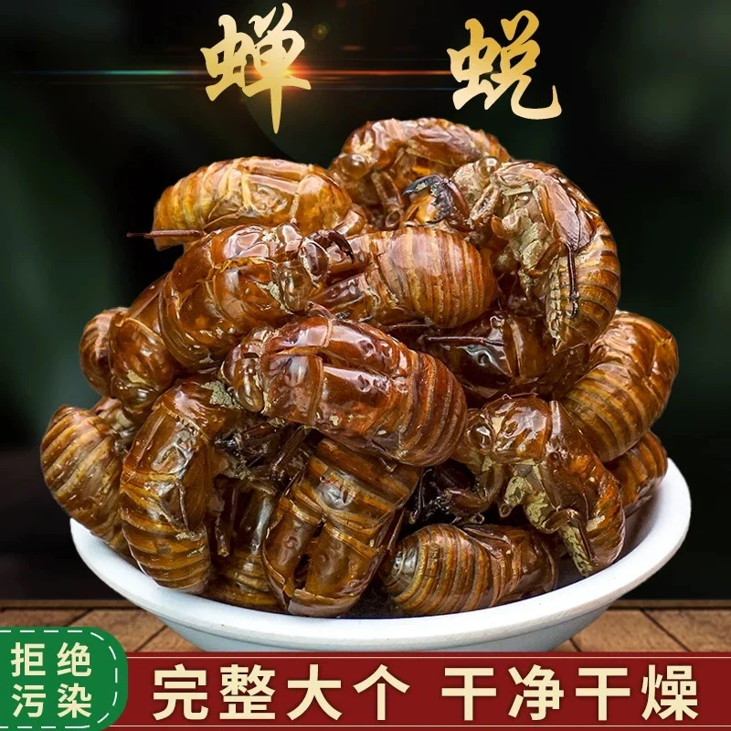蝉蜕蝉脱中药材当季新货枸杞蝉蜕壳蝉壳蝉衣蝉皮蝉退虫退知了壳皮