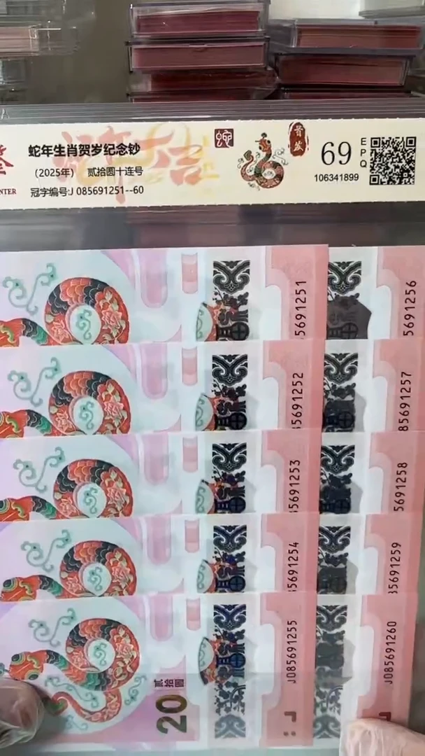 【闪购商品】塑料085691251-蛇钞标十！