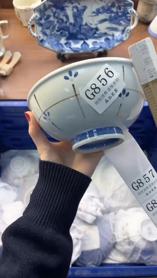 【闪购商品】瓷片----------G856