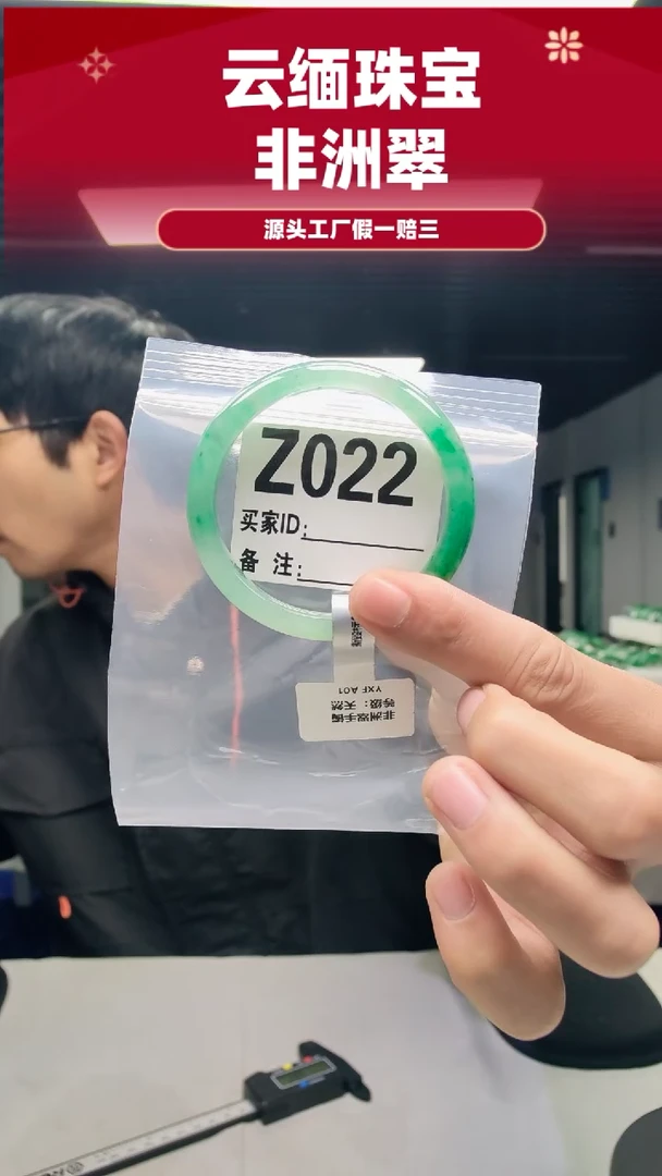 未镶嵌手镯石英质玉（非洲翠）55圈口Z022