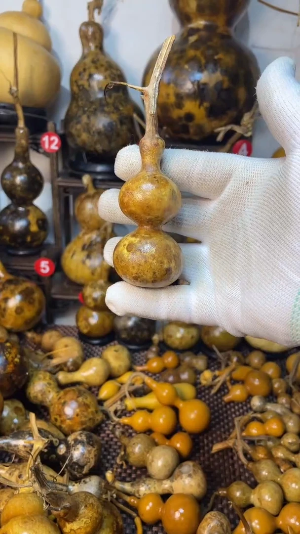 【闪购商品】葫芦葫芦葫芦葫芦葫芦葫芦