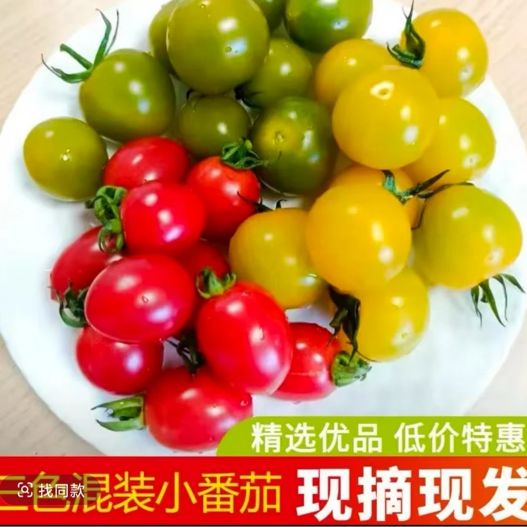 【大远优选】三色圣女果小番茄组合装【顺丰包邮】（2斤左右）电白圣女果广东省