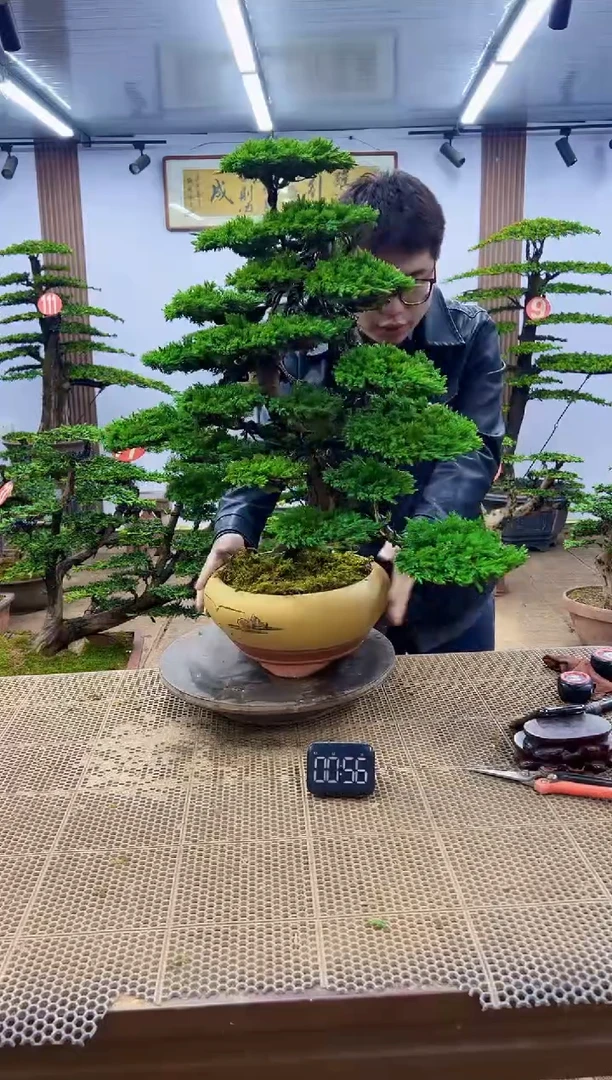 一物一拍，所见即所得