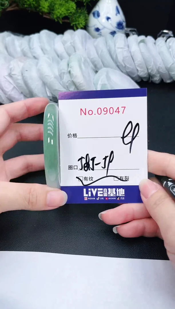 未镶嵌手镯翡翠9047