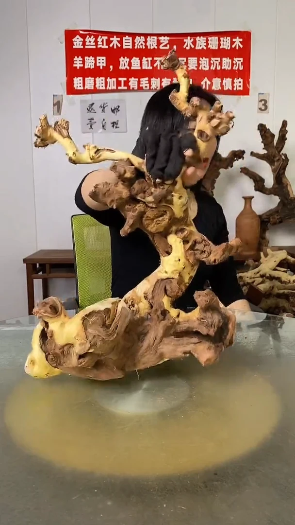 香榧木金丝红木 羊蹄甲