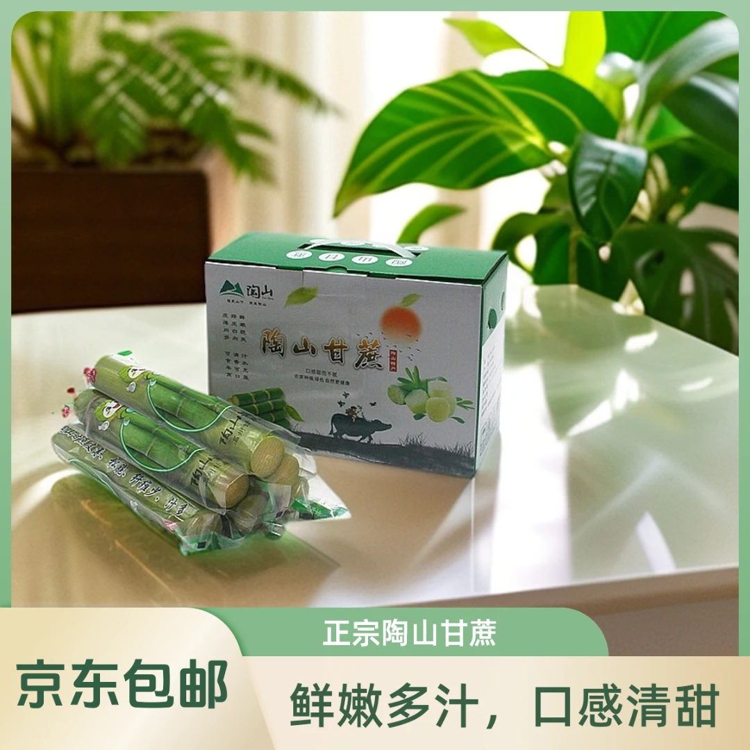 【福利价】正宗陶山青皮甘蔗新鲜当季水果清甜爽口产地直发京东包邮