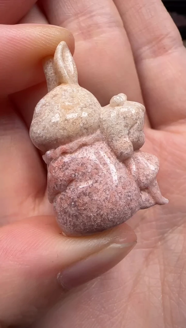 硅化珊瑚（珊瑚玉）未镶嵌颈饰592