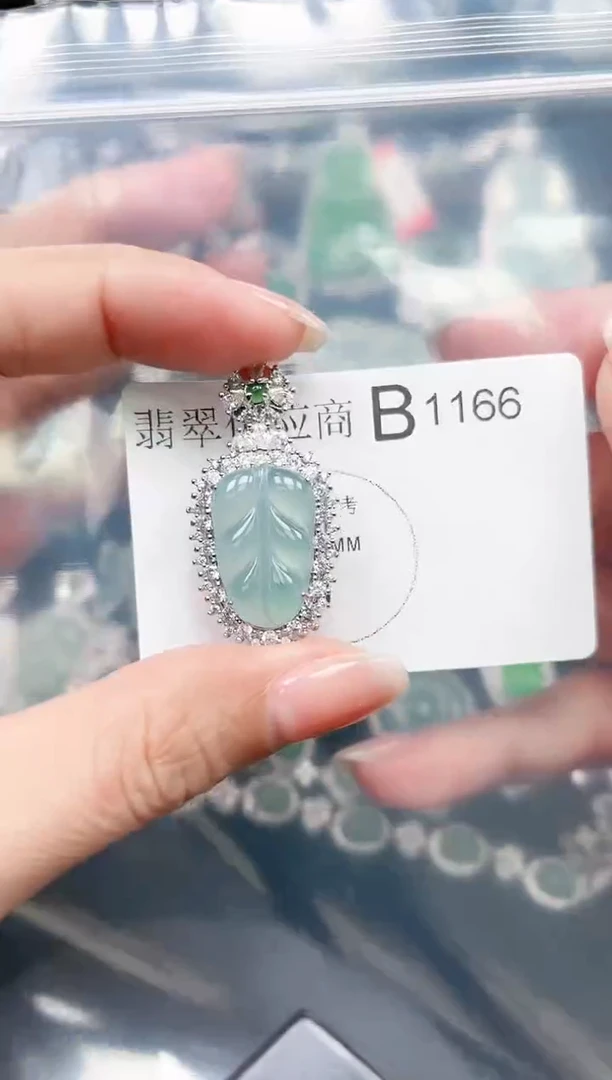 【闪购商品】翡翠颈饰未镶嵌1166赠皮绳