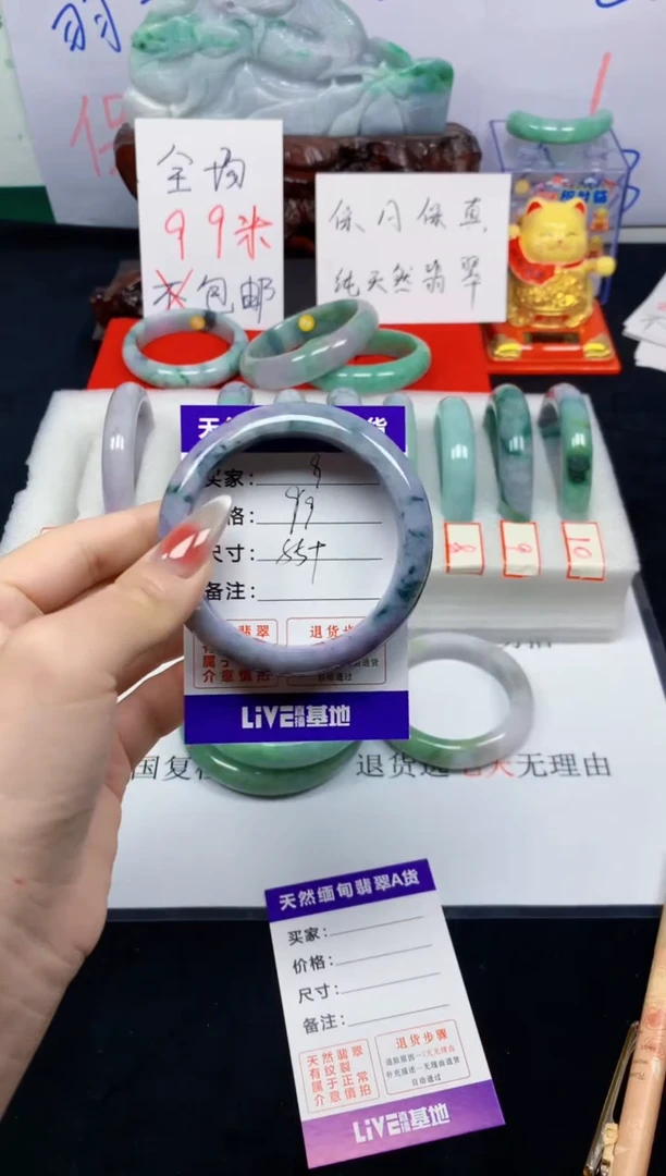 未镶嵌手镯翡翠9