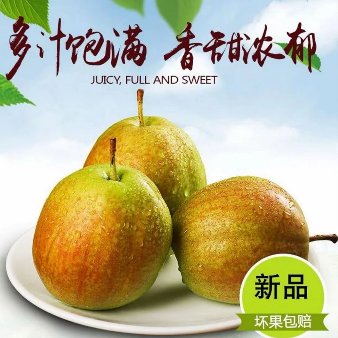 冰糖媚梨七号山东鸭梨之乡酥脆皮薄汁水充足