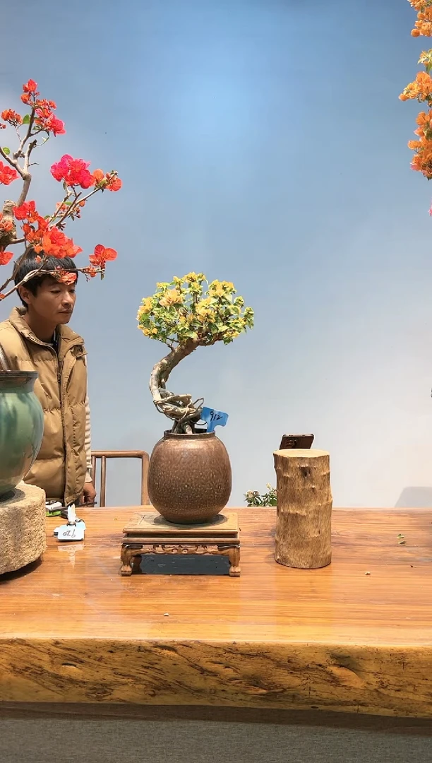 【闪购商品】AA912