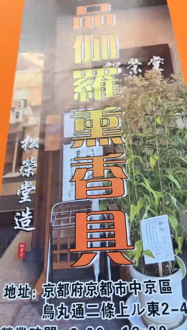 瓷片xj晓魏甄宝阁品质保证