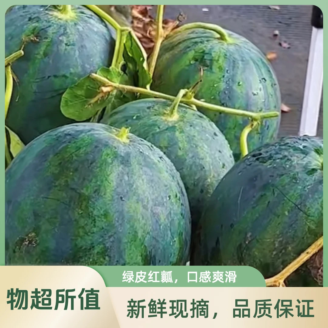 新鲜西瓜浙江省