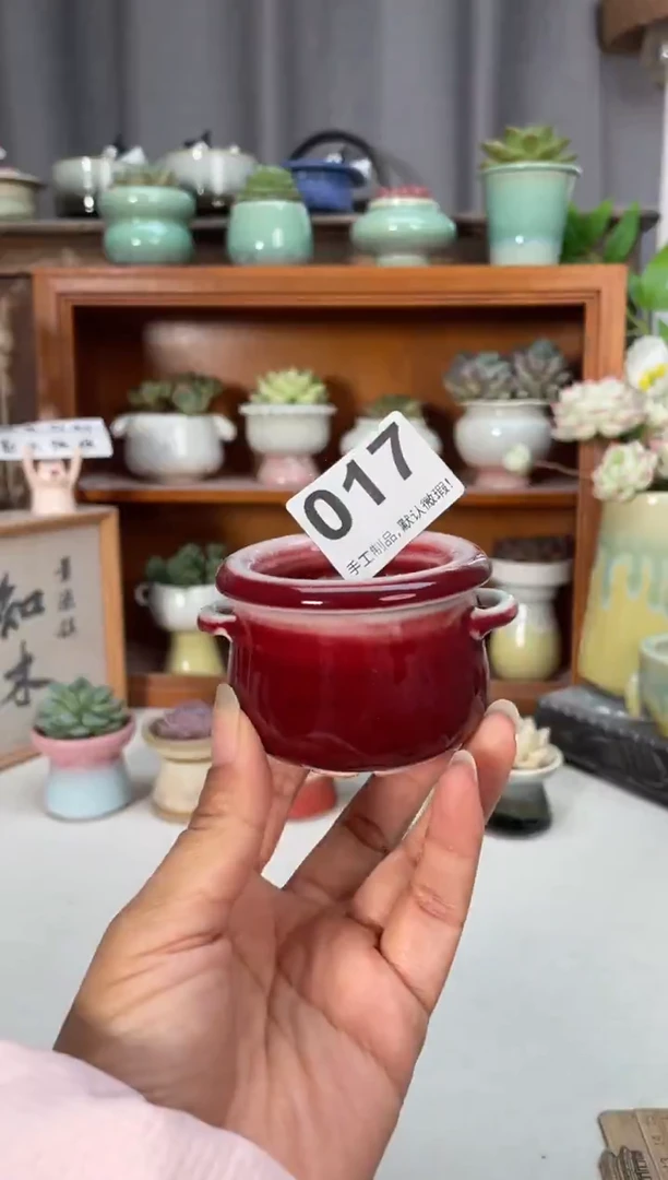 瓷片017知木小芳花盆