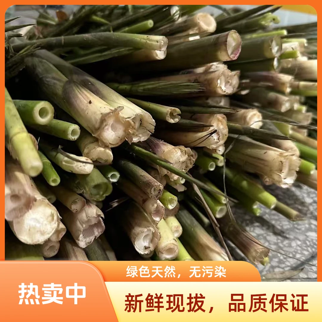 新鲜小竹笋带壳湖南新宁农家山里笋子时令生鲜食用