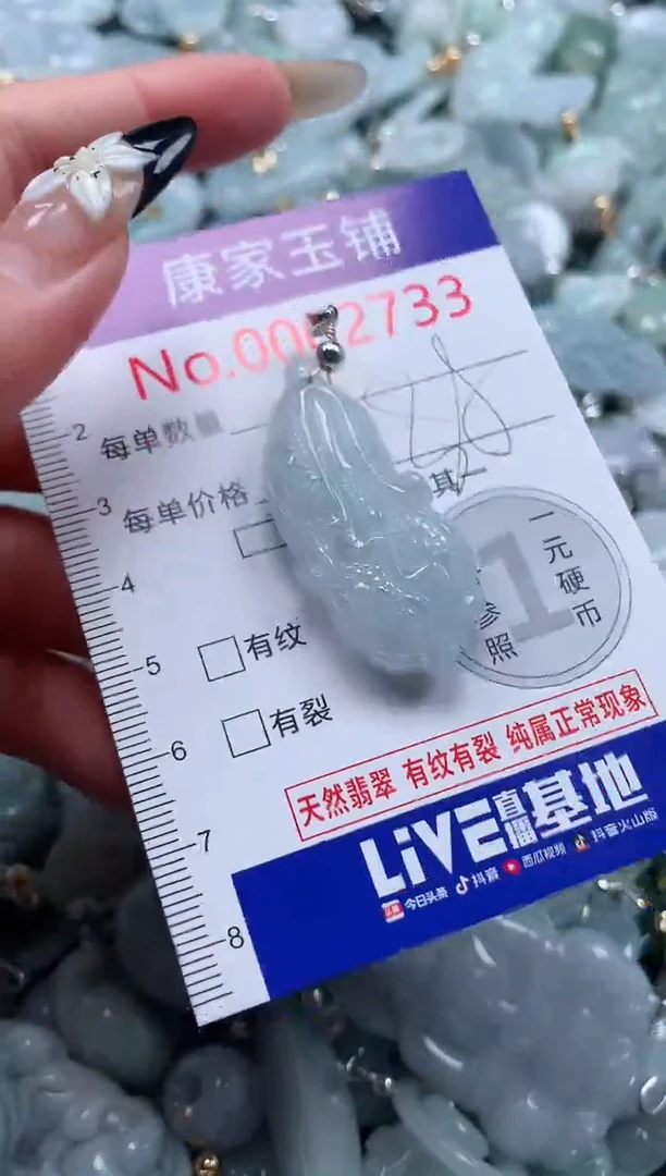 颈饰未镶嵌翡翠2733