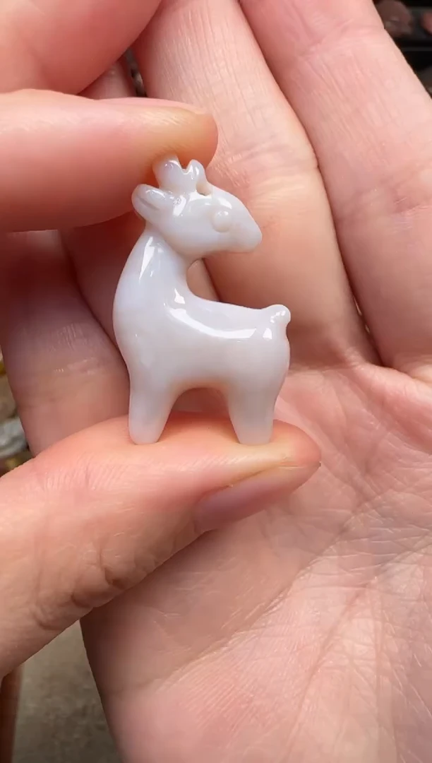 颈饰未镶嵌硅化珊瑚（珊瑚玉）409