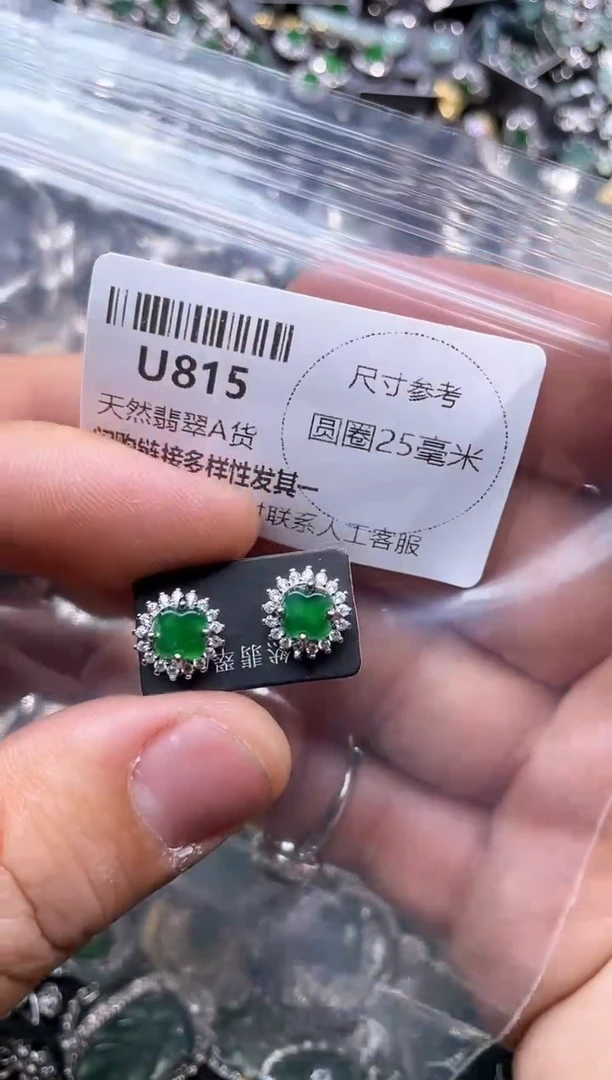 【闪购商品】翡翠颈饰未镶嵌U815耳钉