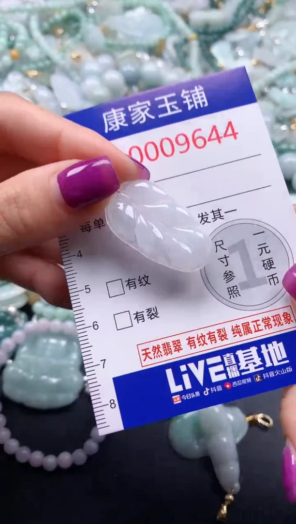 颈饰未镶嵌翡翠9644