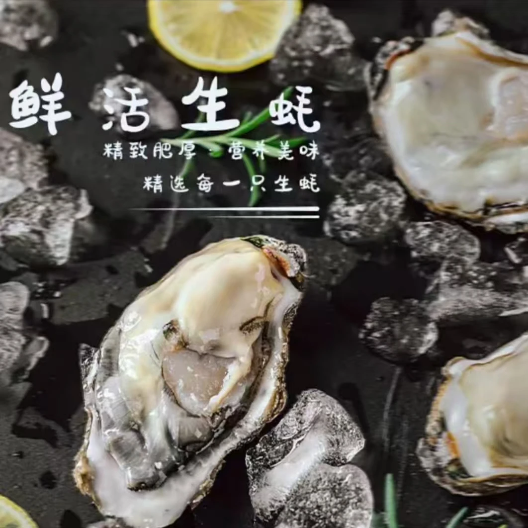 日照生蚝海蛎子 带箱10斤 每斤2-3个左右