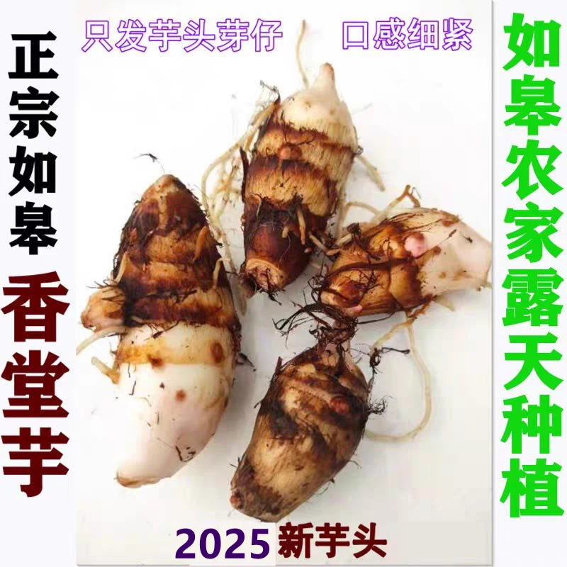 [领券下单]正如皋香堂芋农家自种粉红芽香沙芋小芋头毛芋头芋艿