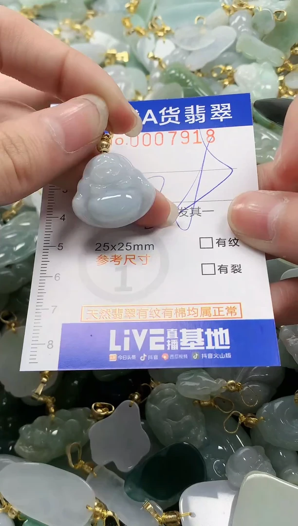 颈饰未镶嵌翡翠纯天然a货翡翠