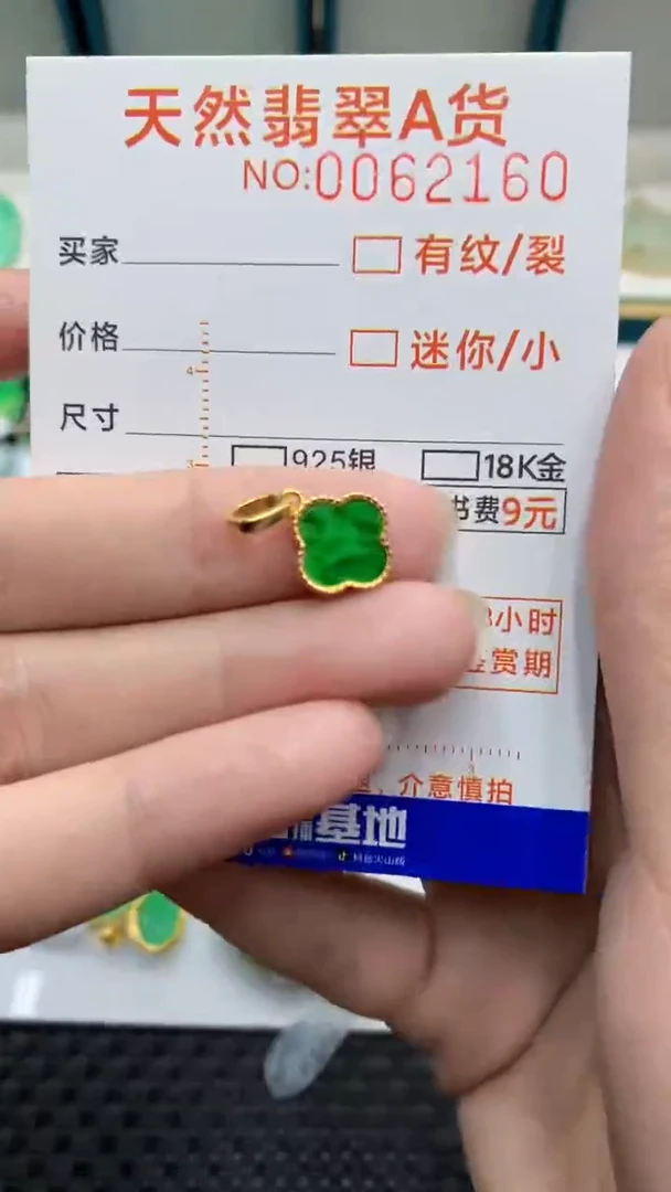 【闪购商品】翡翠颈饰银S925镶嵌            8